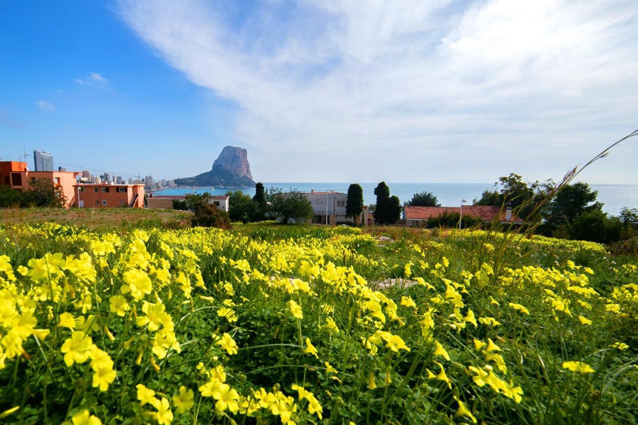 Homeincalpe Borumbot ภายนอก รูปภาพ